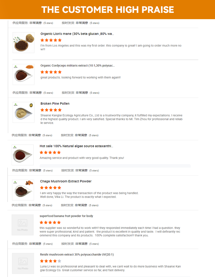 Customer Review 2
