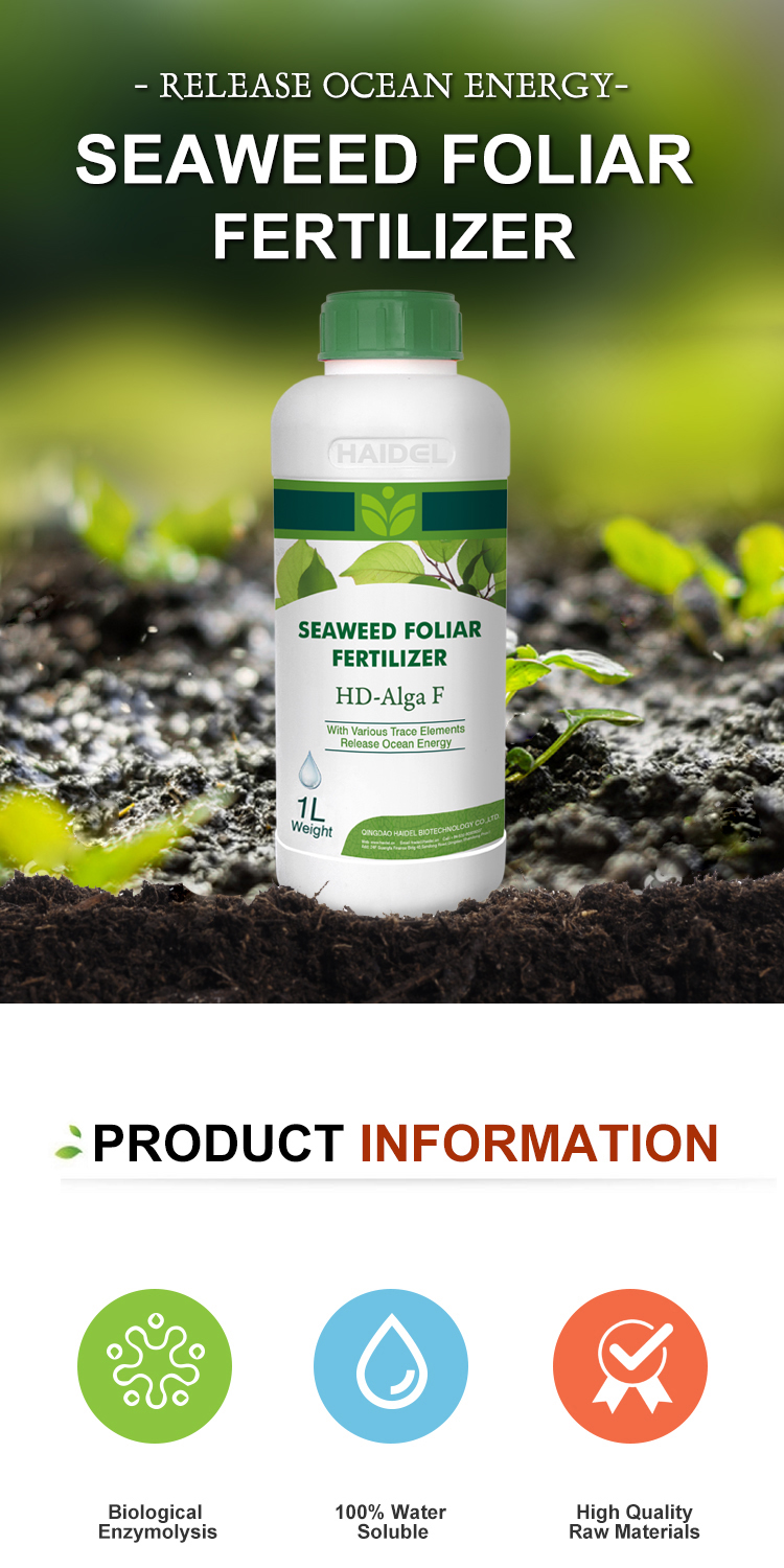 Seaweed Liquid Foliar Fertilizer Product Image 1
