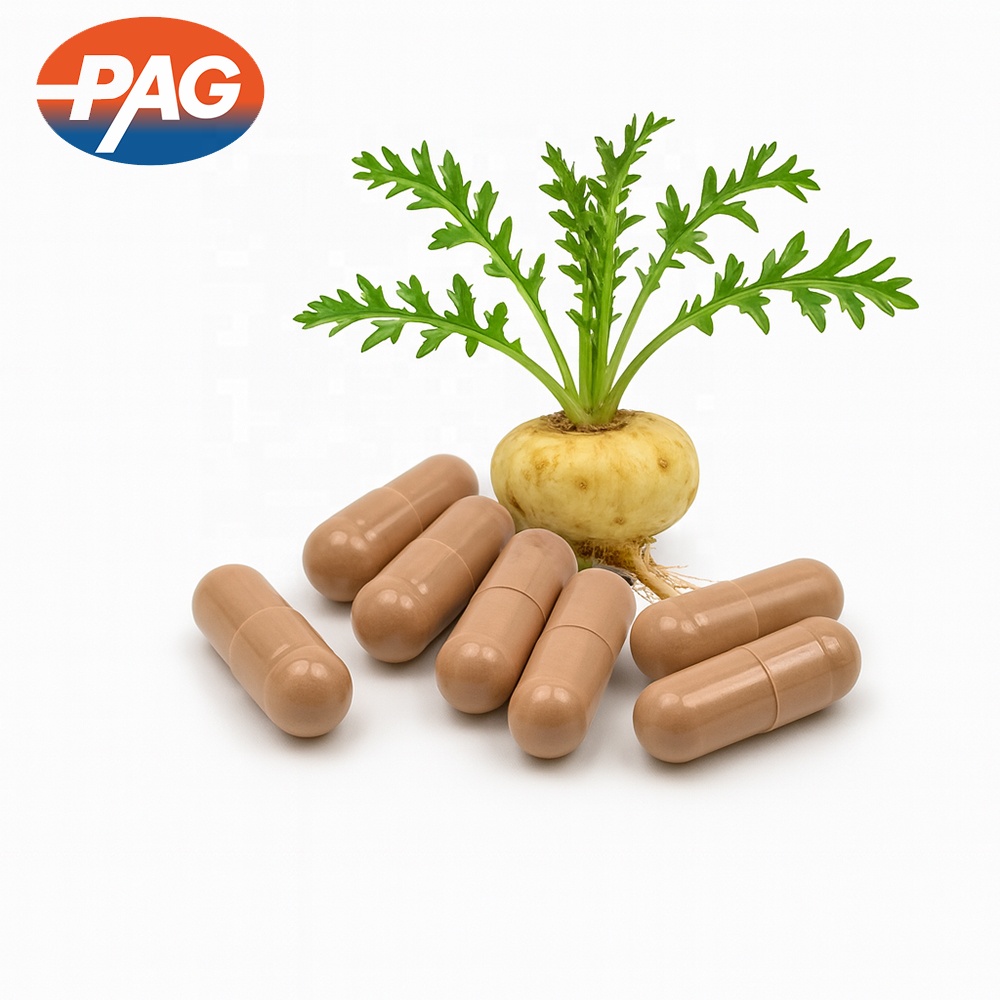 Private Label Supplement Manufacturing Maca Root Capsules Herbal Supplements Maca Capsules