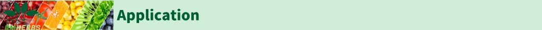 Divider Line