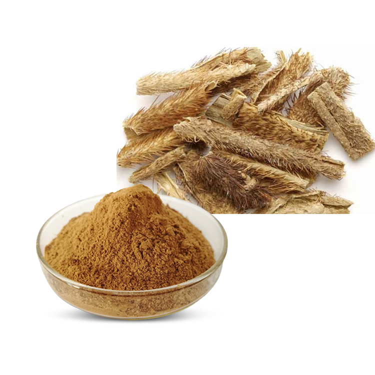 Chinese Traditional Herb 5% Eleutherococcus Senticosus Eleuthero Extract Siberian Ginseng Food Powder