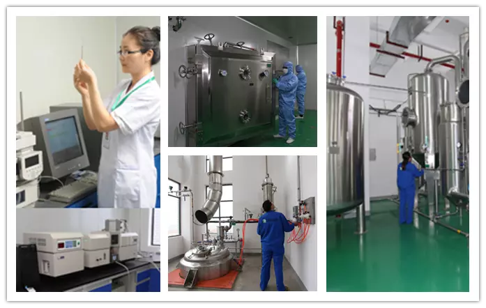 R&D Center