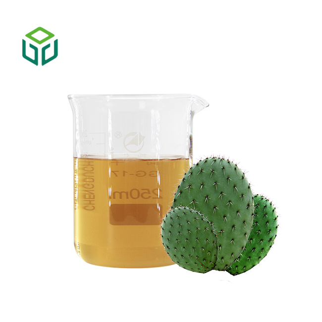 Manufacturers Supply Pure Natural Food Grade Organic Certified Herbal Extract Powder Cactus Extract Opuntia Ficus-indica Bottle
