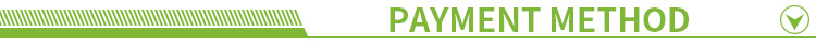 Payment Method 1