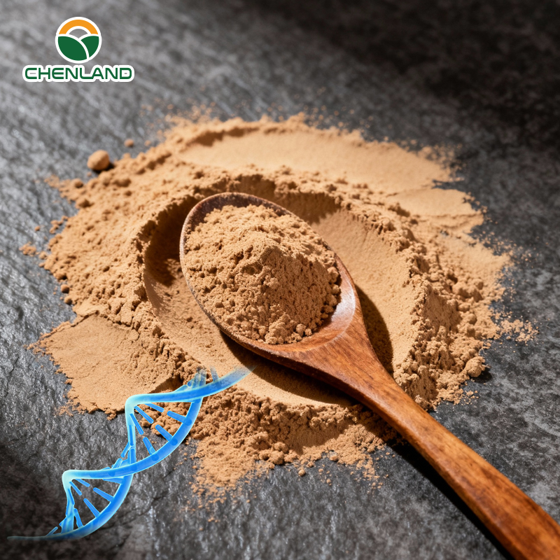 Chinese Traditional Herb Siberian Ginseng Extract Maca Ashwagandha Panax Ginseng