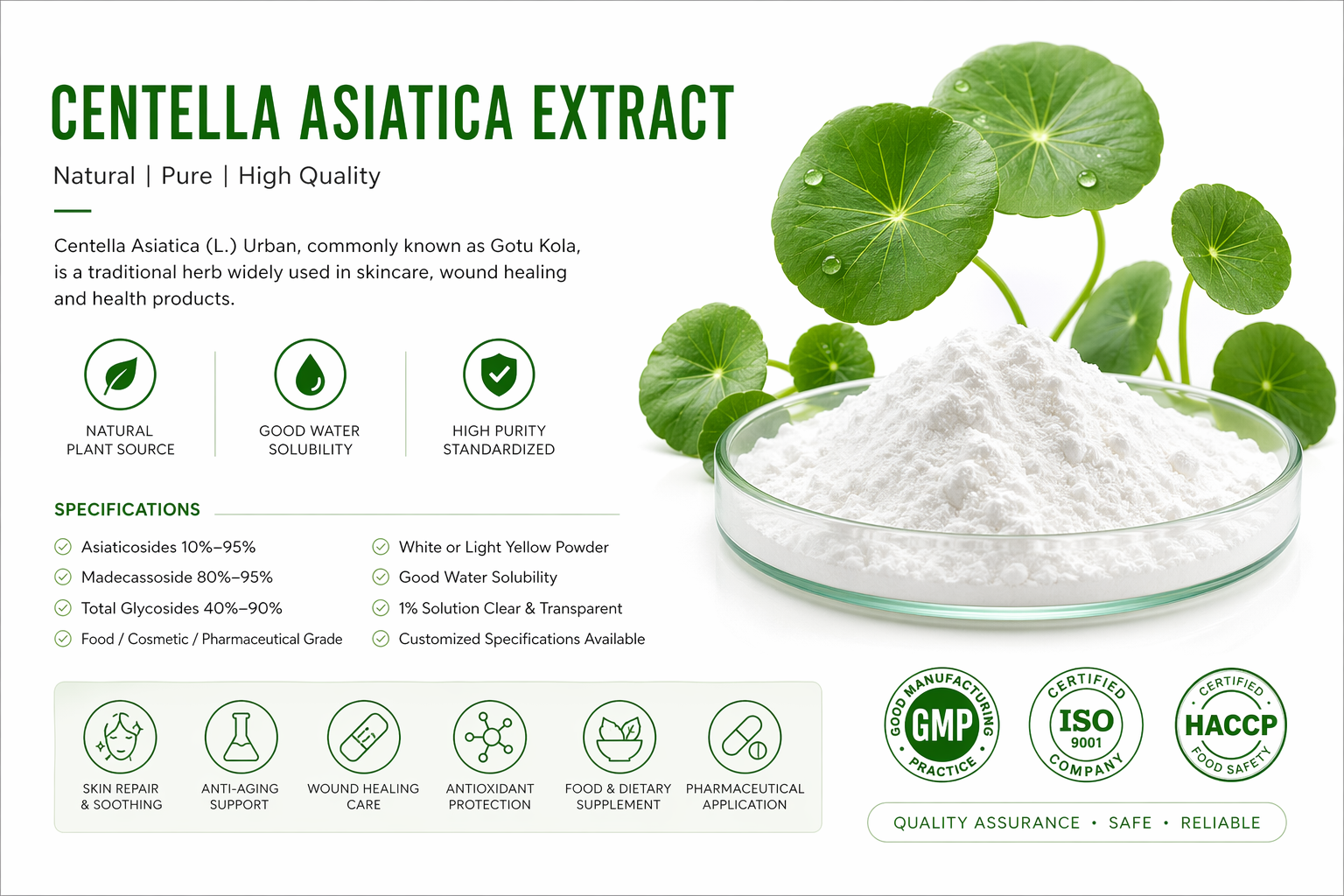 Centella Asiatica Product Detail