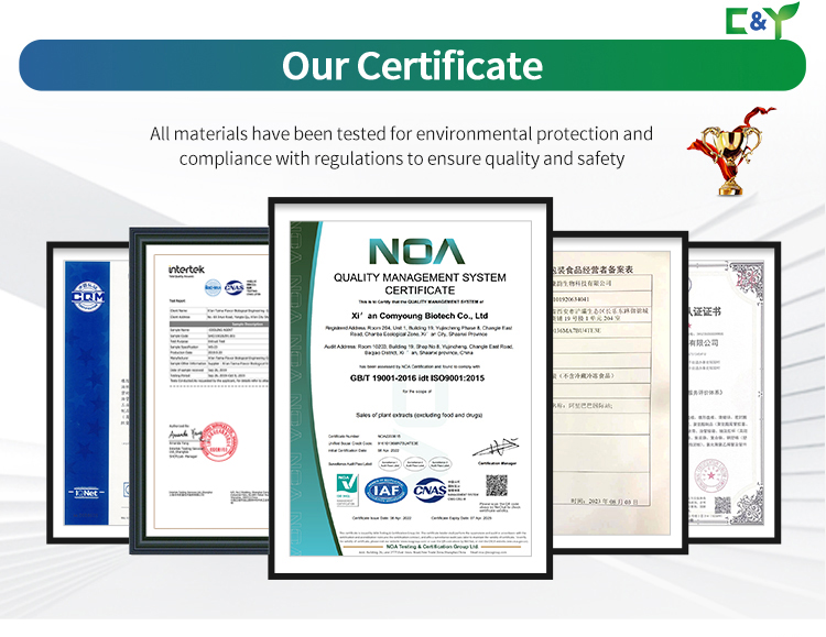 Quality Certifications
