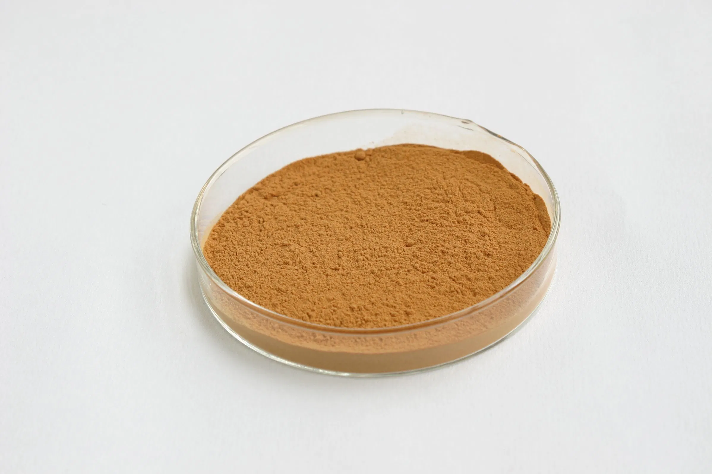 Heartleaf Houttuynia Herb Extract for Clearing Heat Used in Nutrition