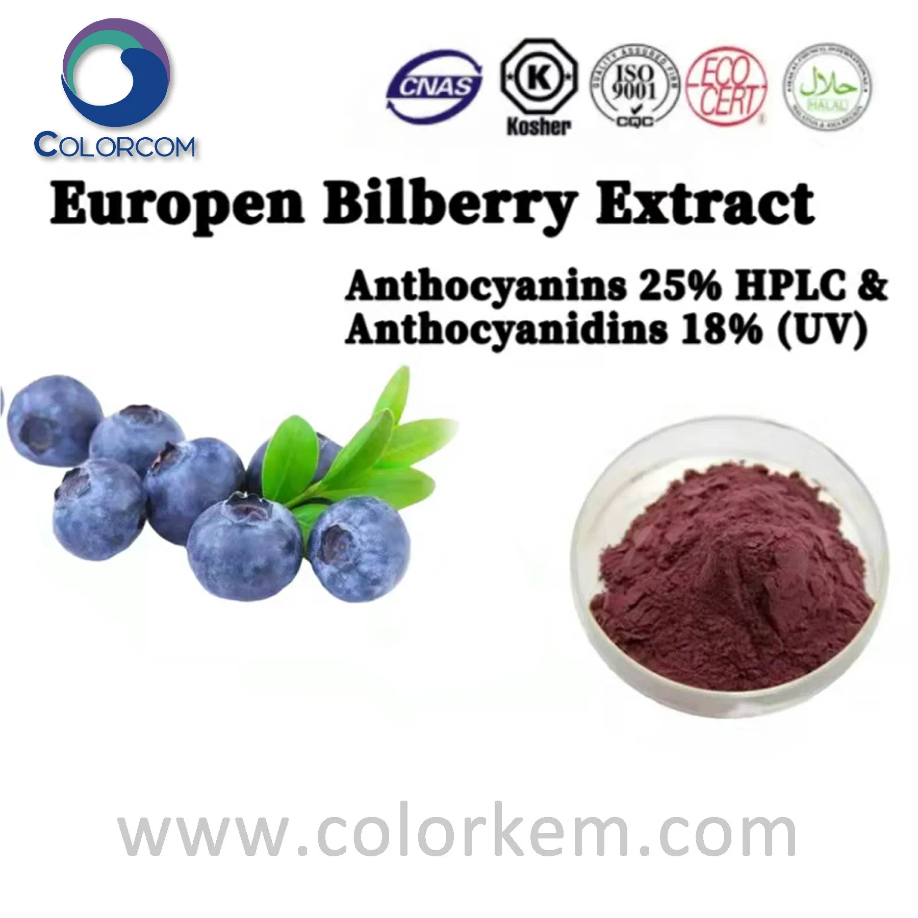 Organic Bilberry Powdered Extract CAS 84082-34-8 Blueberry Extract