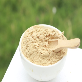 ISO Certified Amla Powder for Joint &amp; Bone Support Anti inflammatory benefits to keep you moving