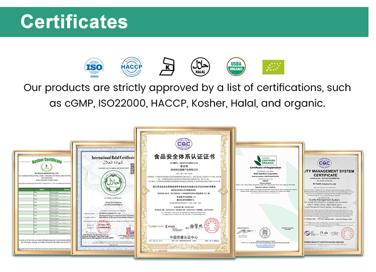Chinese Traditional Isatis Indigotica Fort Leaf Extract BanLanGen Powder Indigowoad Root Extract