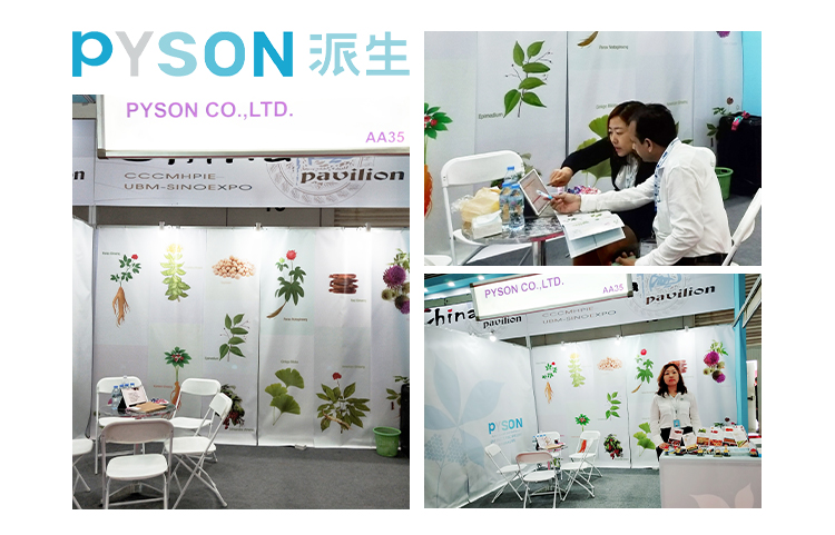 Exhibition Show