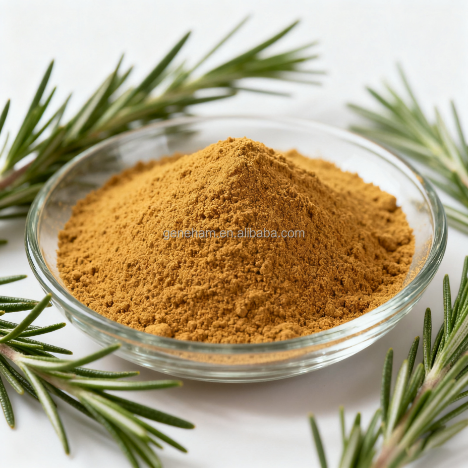 Rosemary Extract Rosmarinic Acid Powder for Natural Hair Health Solutions
