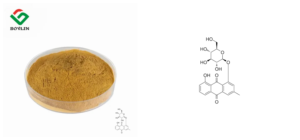 Rhubarb Extract Specification Info