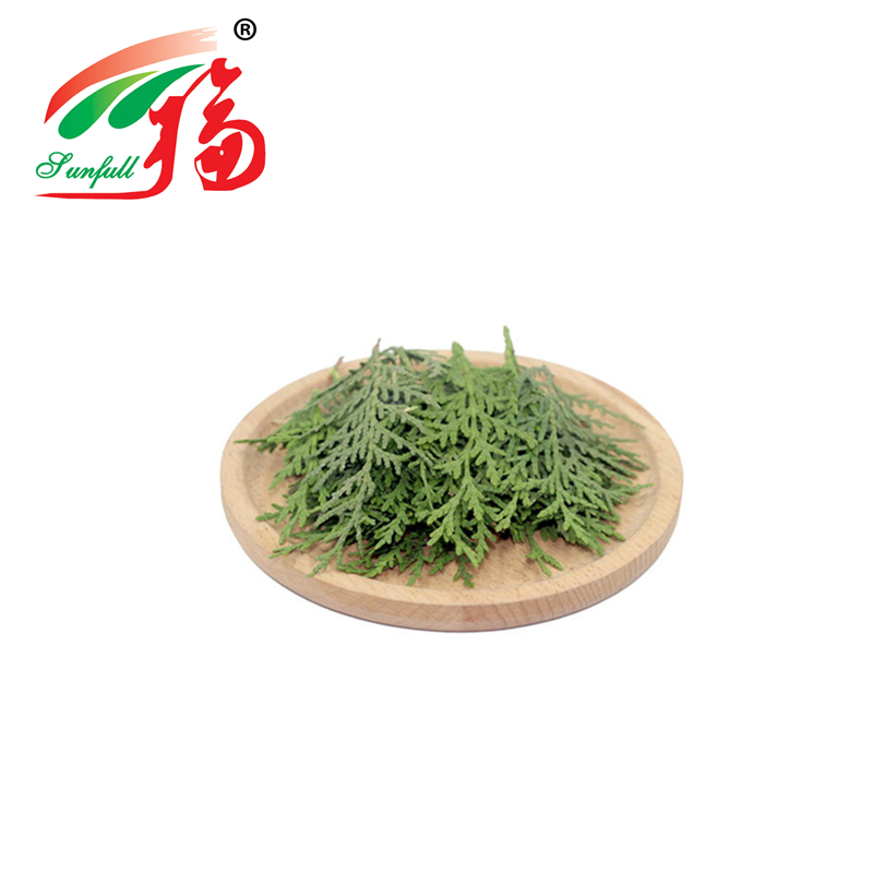 Pure Cacumen Platycladi Orientalis Extract Natural Hair Care Herbal Raw Powder