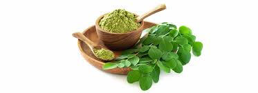 Natural Moringa Leaf Extract Powder - Antioxidant Plant-Based Ingredient for Health &amp; Nutrition