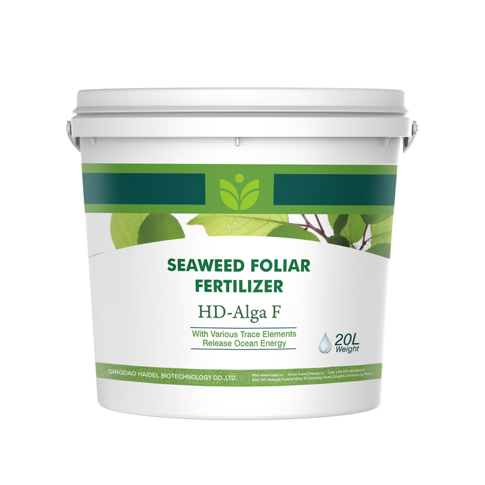 Liquid TE Ascophyllum Nodosum Water Soluble Seaweed Extract Organic Foliar Fertilizer
