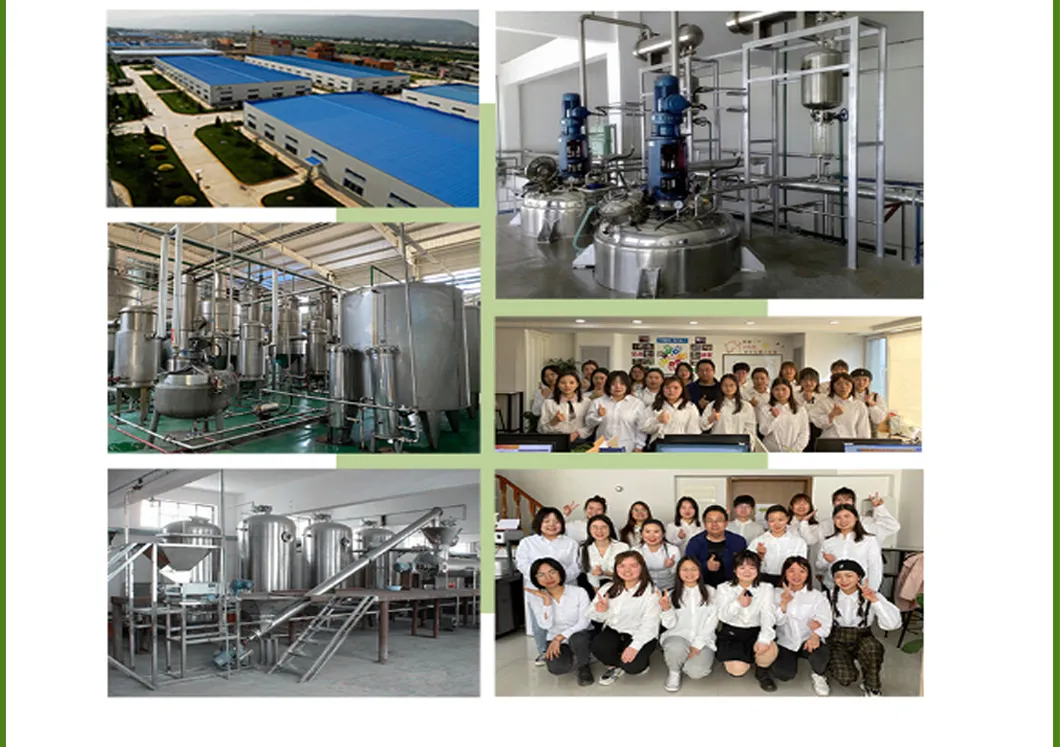 Supply Chebe Powder Plant Herbal Extract Hair Care Chebe