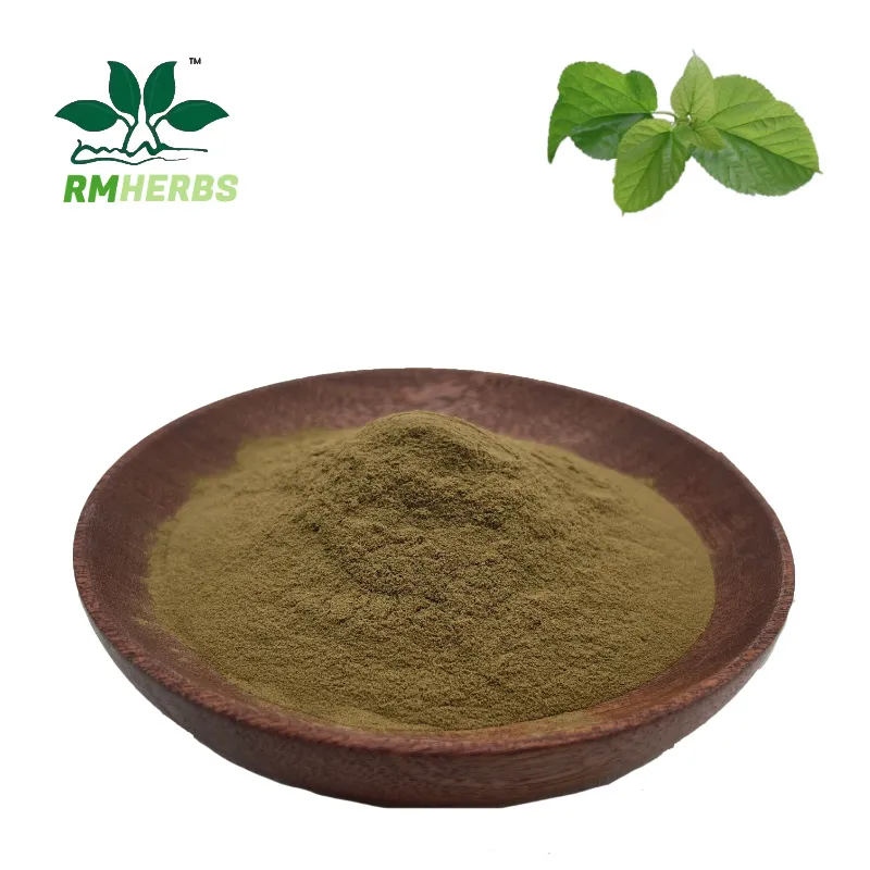 Premium Mulberry Leaf Extract Powder 10:1