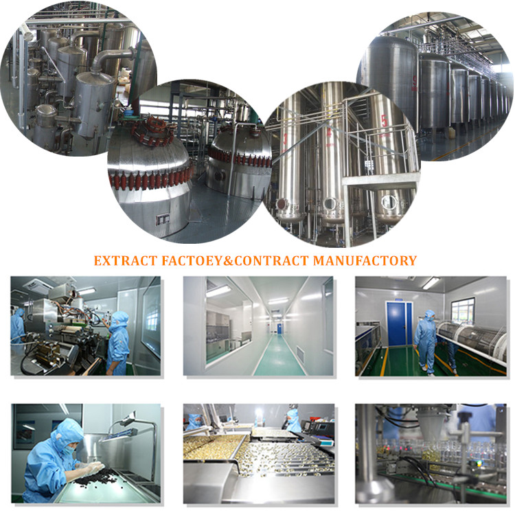 Wholesale Bulk Pure Organic Reishi Mushroom Extract Ganoderma Lucidum Powder Reishi Mushroom Extract Powder