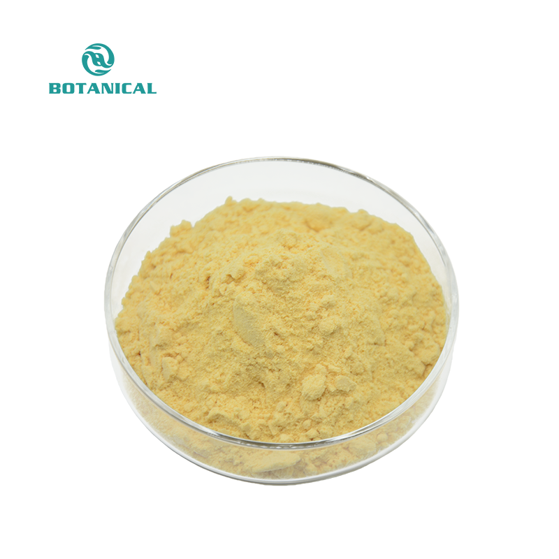 Ginger Powder 20%