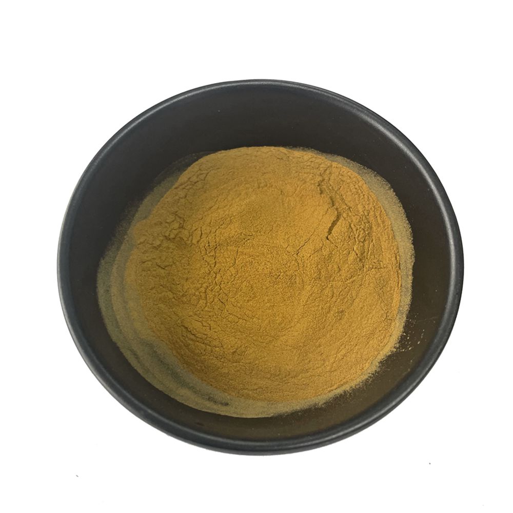 Chinese Herb Chinese Angelica Root Extract/ Dong Quai Extract Powder