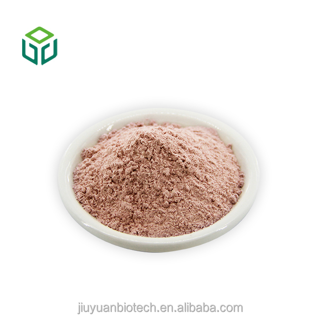 Bulk Supplier Food Grade Sour Jujube Kernel Herbal Extract 10:1 Water-Soluble Powder in Bottle