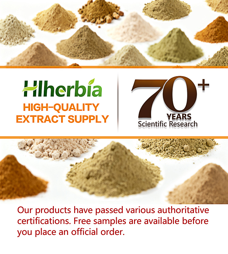 Direct From the Factory: 100% Natural Sea Buckthorn Herbal Extract Concentrate, Cold-pressed, with No Added Antioxidants