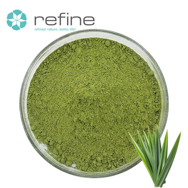 Top Green Grade Pure Pandan Leaf Extract Food Additives Pandan Powder for Instant Beverages Solid Beverages and Baking Premixes