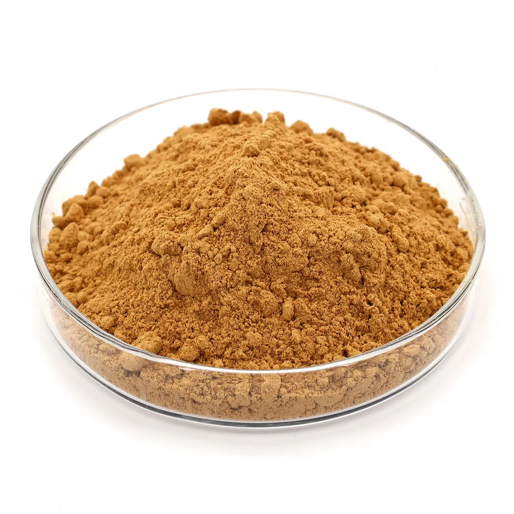 Rextract Maca Powdered Extract Pure Natural Herbal Extract 10: 1 Maca Root Extract Powder