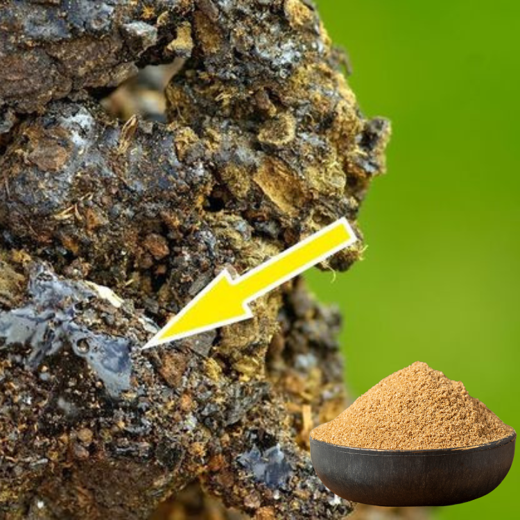 Pure Natural Shilajit Extract Powder Certified Herbal Extract Dietary Supplements Bulk Supply Ayurvedic Formulations Health