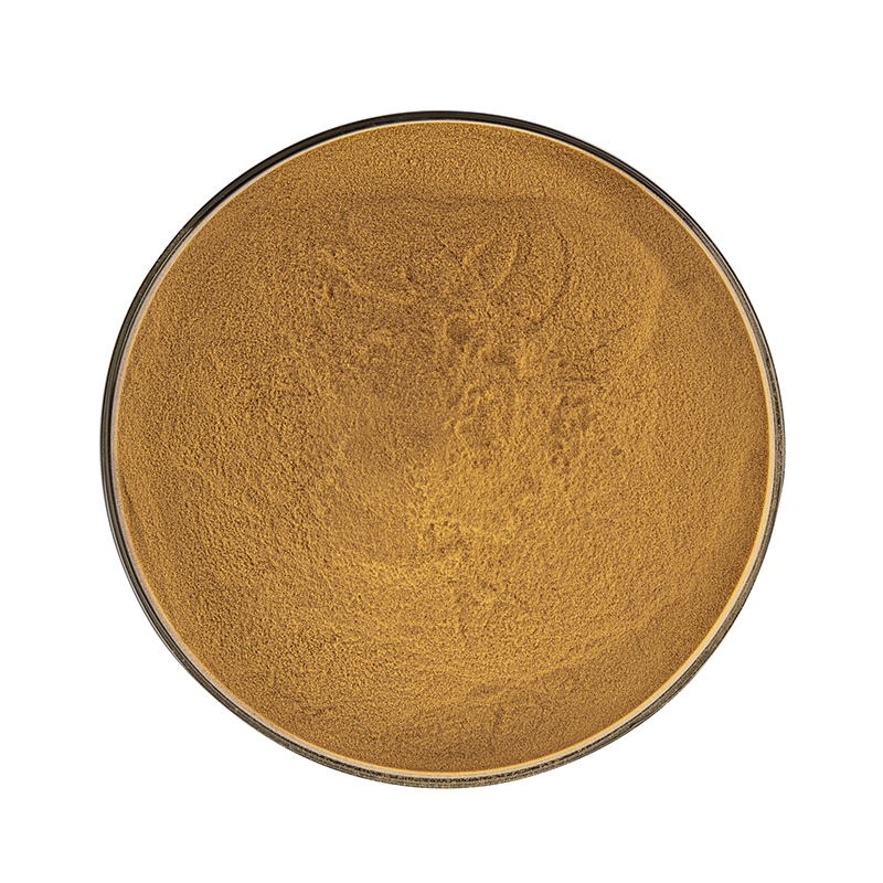 Custom-Grade Premium Botanical Ivy Gourd &amp; Leaf Extract Powder 100% Organic Natural Herbal Wholesale OEM/ODM