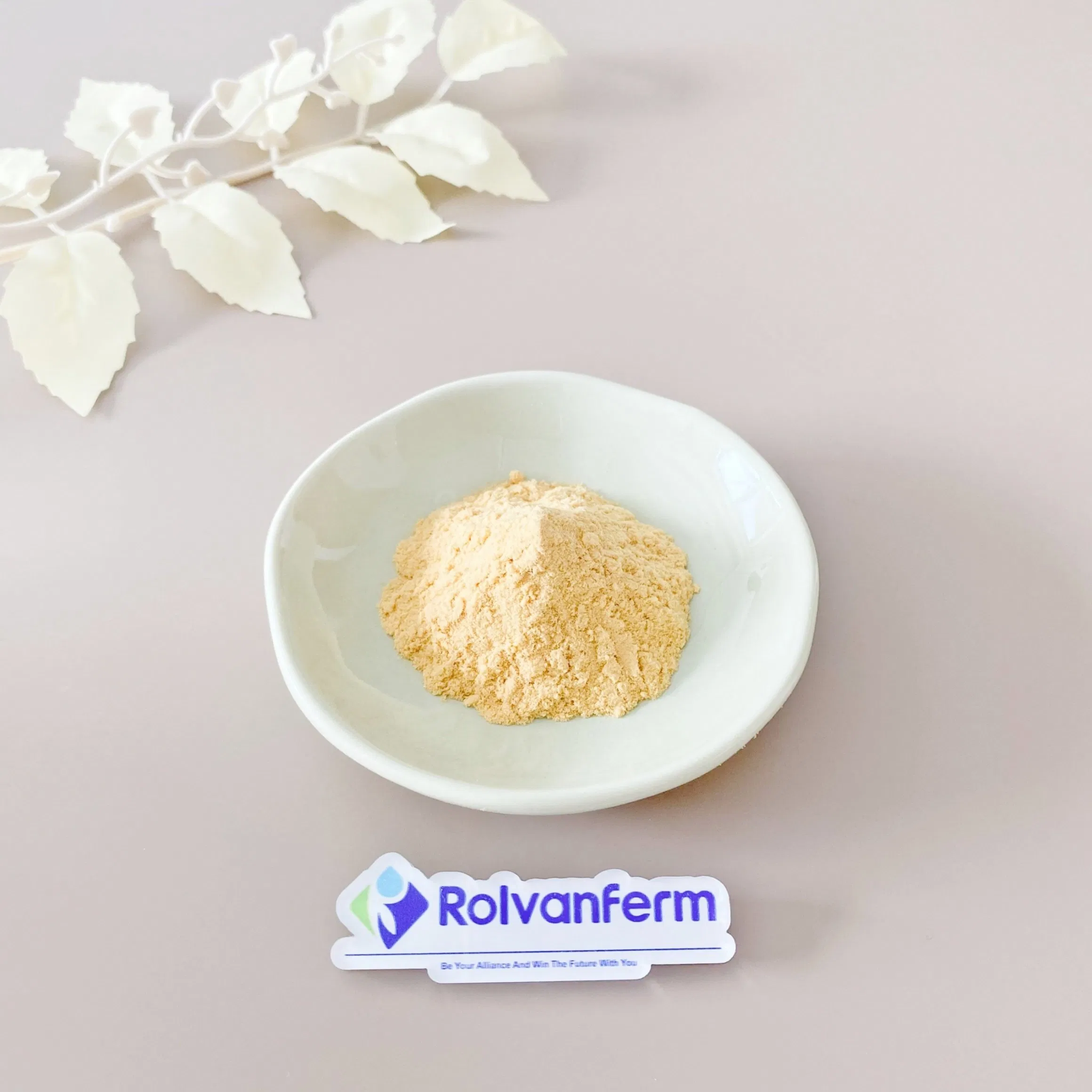 Ginger Root Extract Raw Material Zingiber Officinale Botanical Ingredient for Supplement Manufacturing and Functional Nutrition