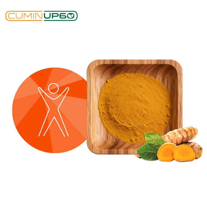 Food Grade Water Soluble CuminUP60 Turmeric Extract 178X High Bioavailability for Health Food &amp; Powder Beverages
