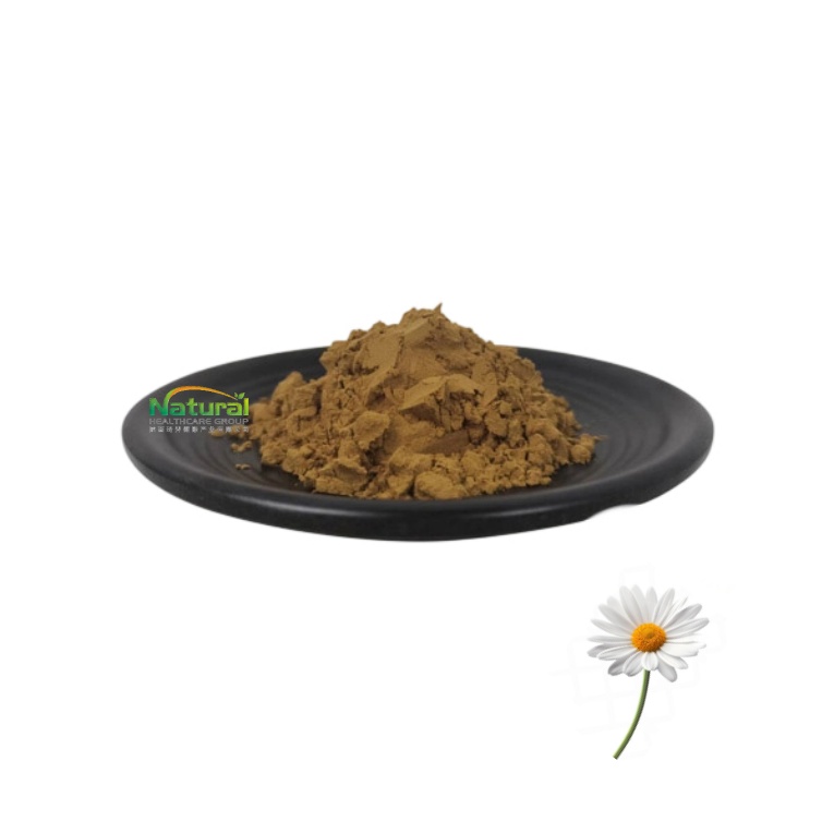 Good Quality Chrysanthemum Extract Powder Manufacture Supply Chrysanthemum Extract Powder for Sale
