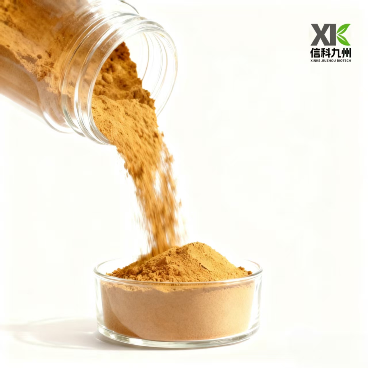 Extraction Process 1