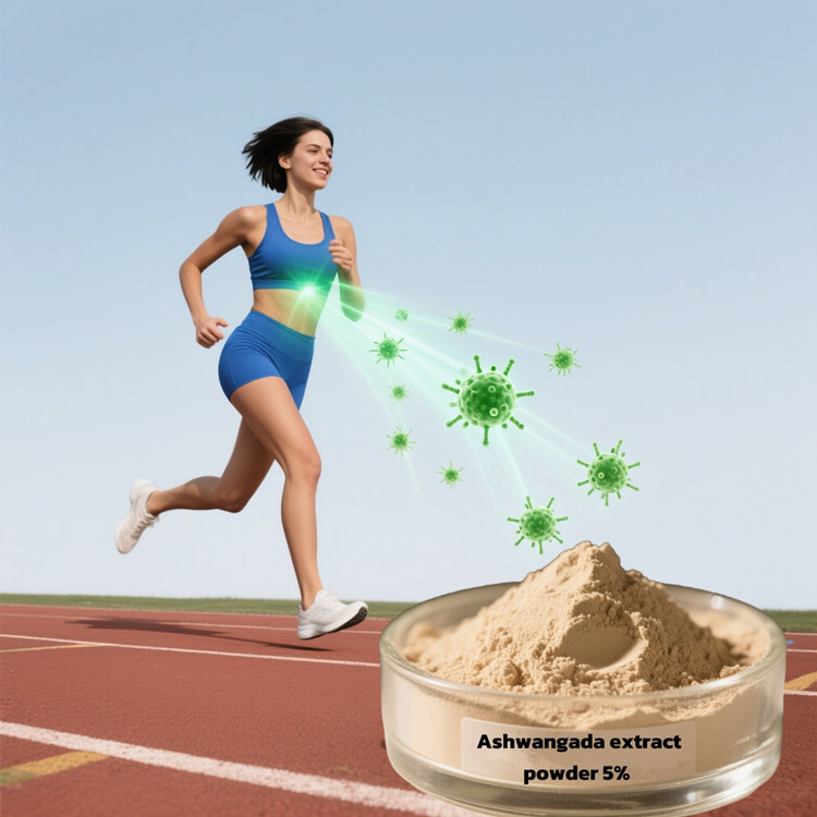 Wholesale Wholesale Plant Extract Ashwagandha Root Extract Powder Withanolides 2.5% 5% 10% C Ayurvedic Extract