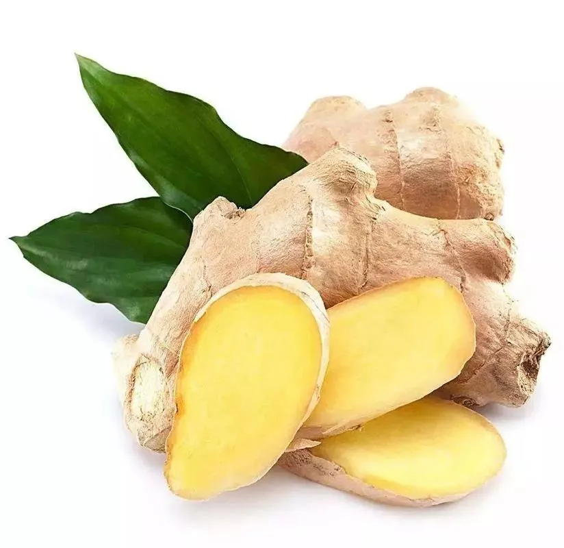 High Quality Chinese Herbal Extract Dried Ginger Extract