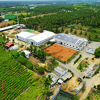 Organic Farming Field