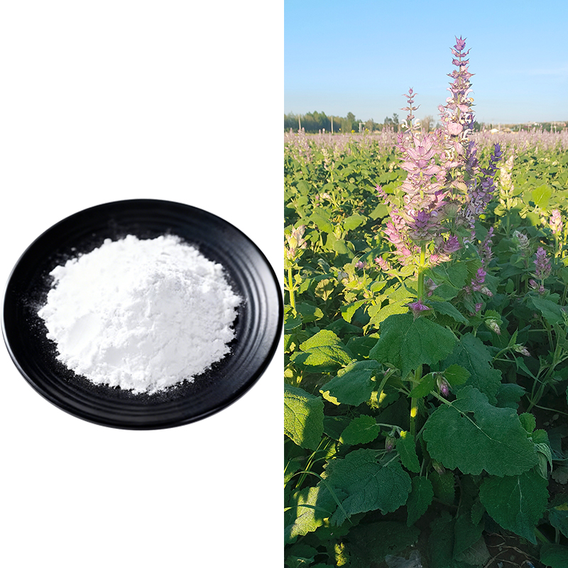 Natural Salvia Sclarea Extract Ambroxane Wild Herbal Extract Powder Cosmetic Grade 99% Purity Raw Material Factory Supply