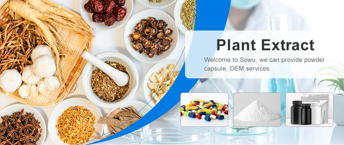 Natural Plant Extract Fleeceflower Root Extract Banner
