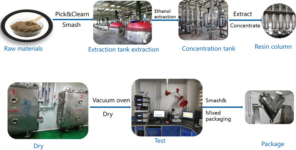 Cnidium Extract Detail