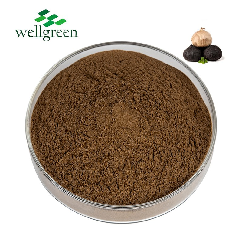 Powdered Water Soluble Black Garlic Extract for Dietary Supplements &amp; Nutritious Foods with Rich Sac &amp; Antioxidants (Factory Supply)