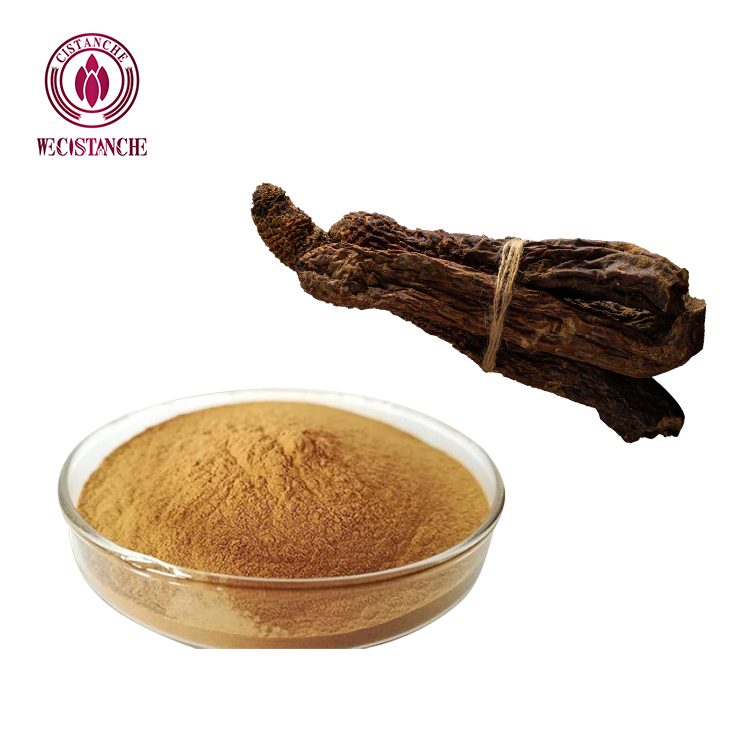 High Echinacoside Cistanche Tubulosa Extract Powder, Natural Antioxidant Herb for Renal Wellness &amp; Energy Support