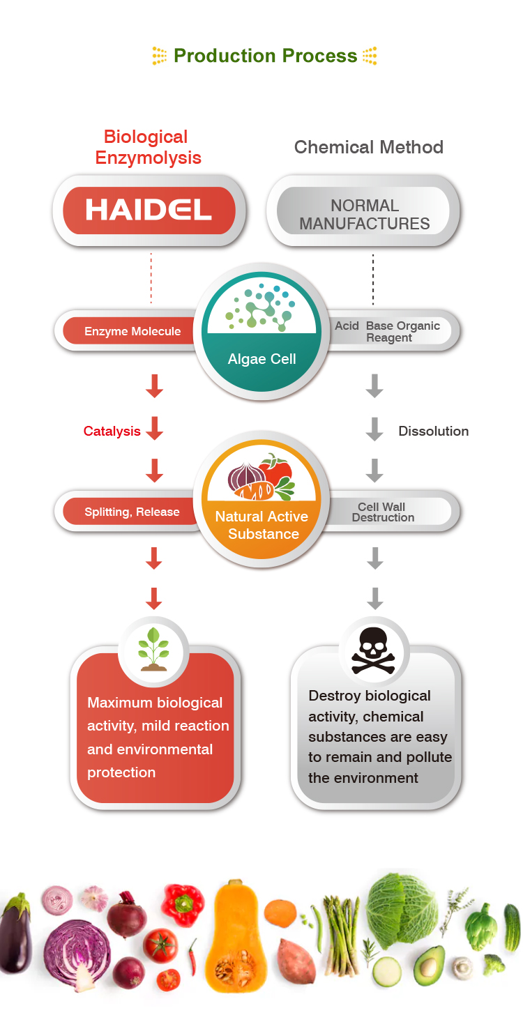 Seaweed Fertilizer Application Gallery 1