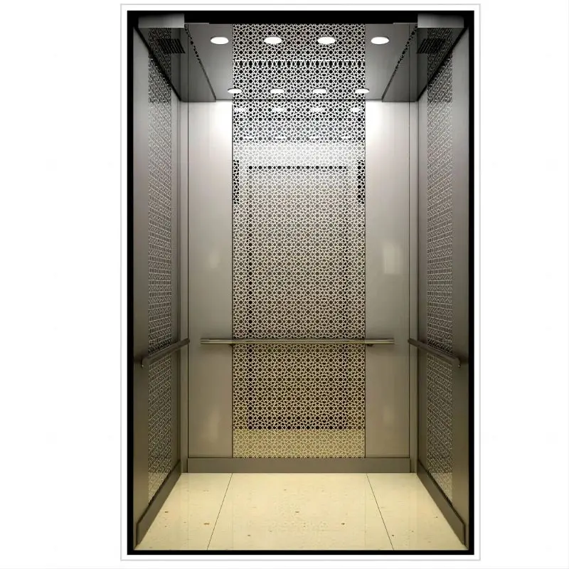 Residential Villa Elevator Home Passenger Elevator by Bluetech