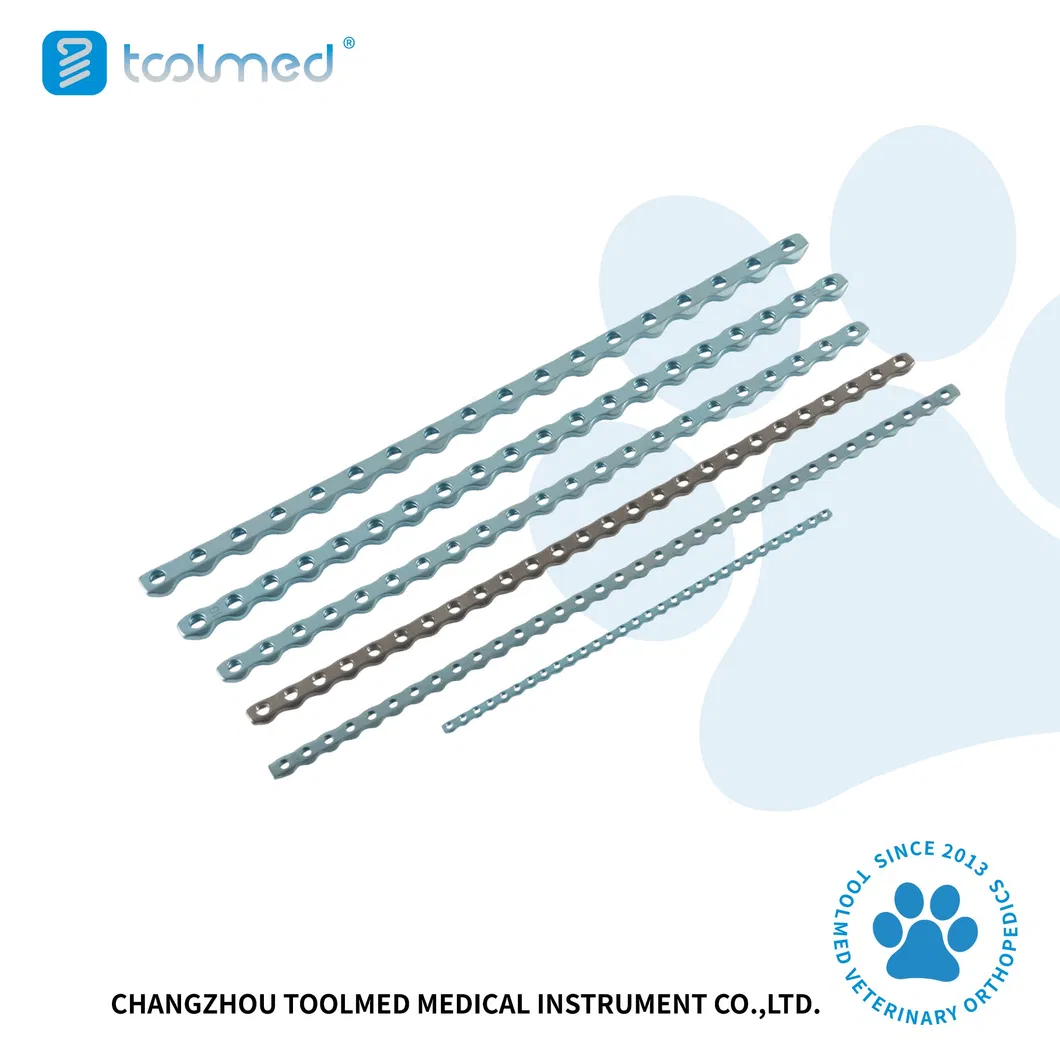 Veterinary Orthopedic Plate
