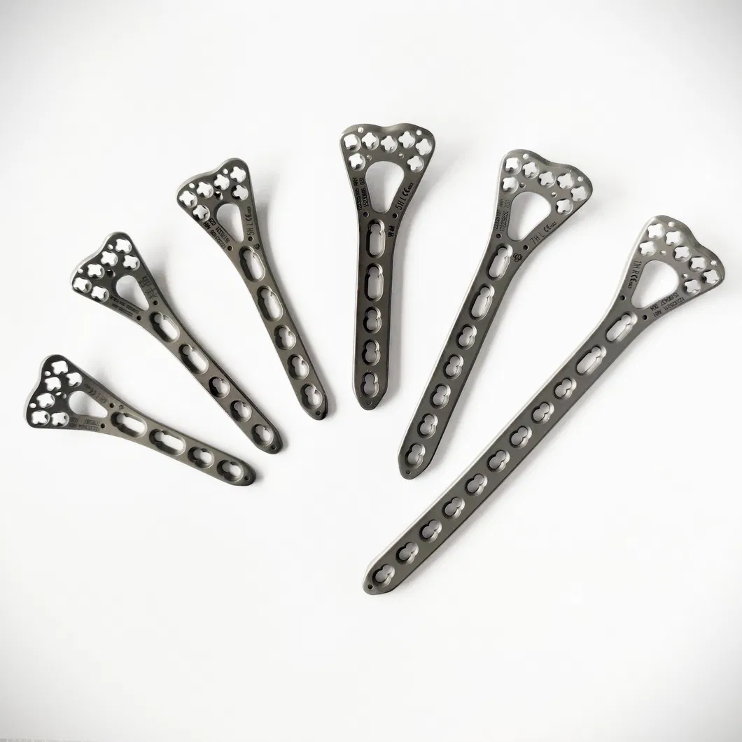 Titanium Locking Plate Detail