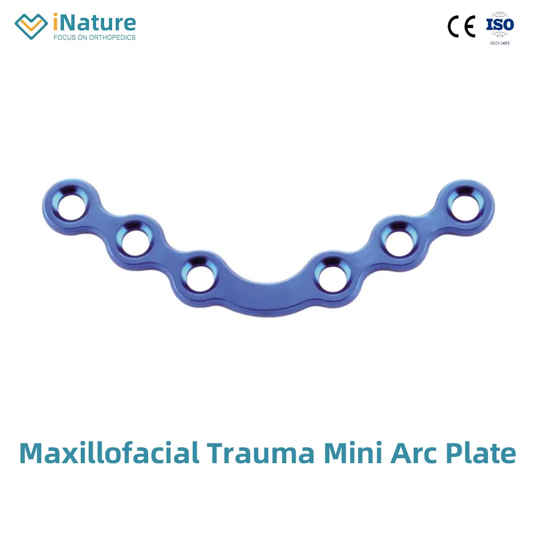 Mini Micro T Locking Plate Maxillofacial Head Bone Plate Implant