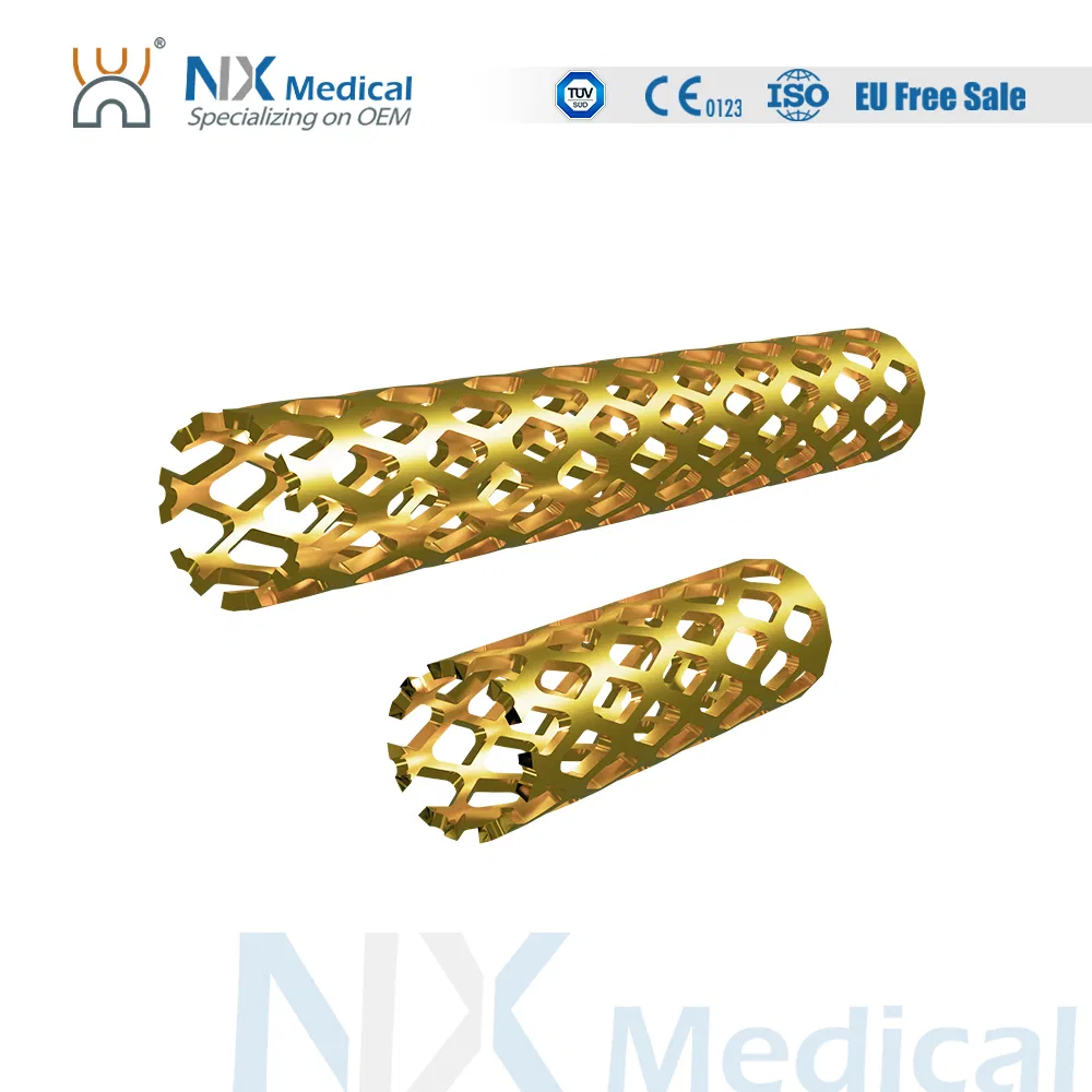 Nx Medical OEM Support Tlif Cage Peek Titanium for Lumbar Interbody Fusion